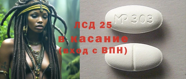прущие грибы Лагань